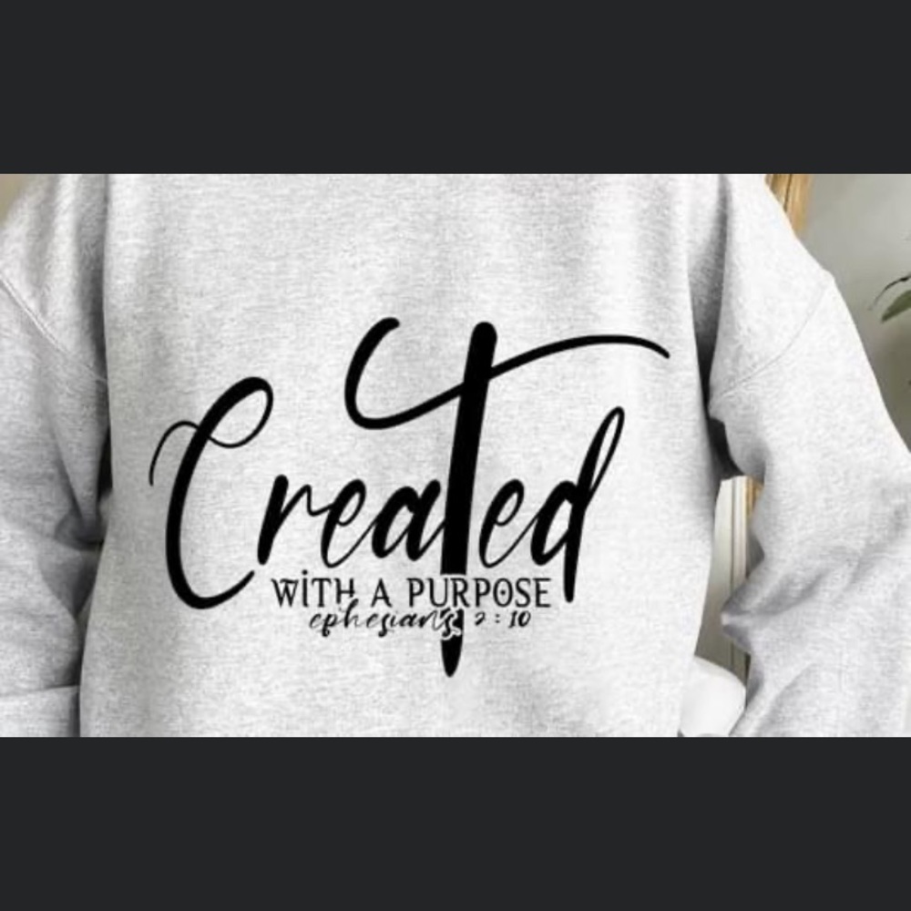 Shirt or sweatshirt.  Can be customized any color and size